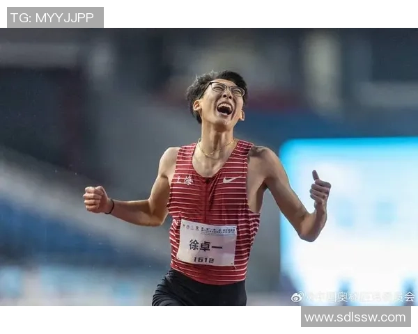 奥运会田径跨栏项目技术难点解析与高效训练方法探讨